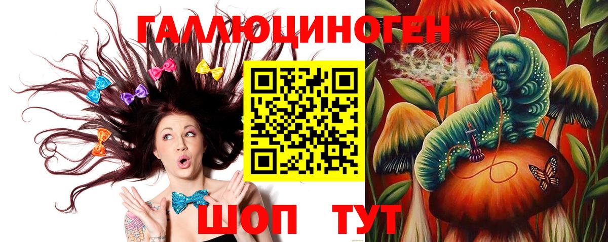 Георгиевск  Псилоцибиновые грибы MAGIC MUSHROOMS  Вход с VPN 